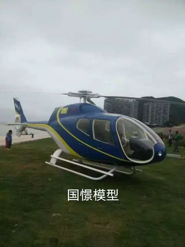 马鞍山飞机模型