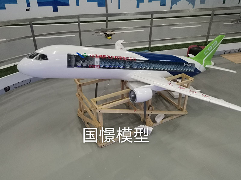 马鞍山飞机模型